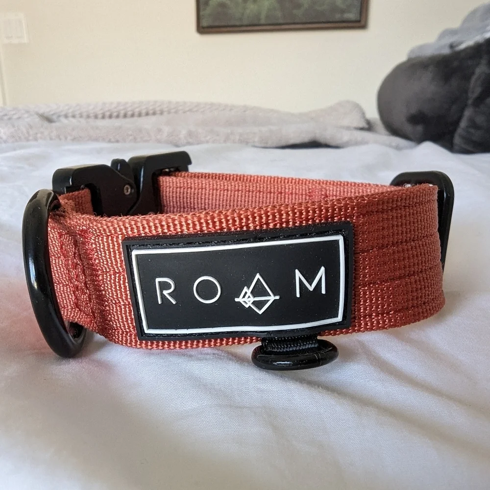 Roam Dog Collar Heavy Duty For Small & Medium Dogs